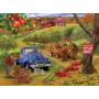 SUN31955 PICK UR OWN APPLES, 500+ 22 *
