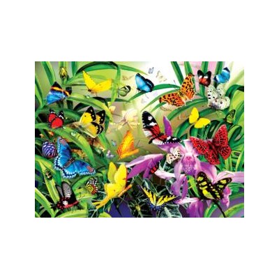 SUN34867 TROPICAL BUTTERFLIES, 1000, 17