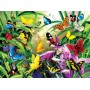 SUN34867 TROPICAL BUTTERFLIES, 1000, 17