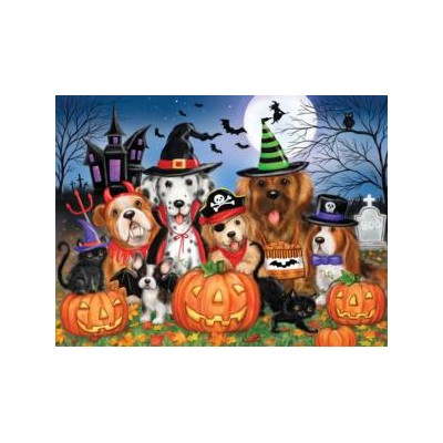 SUN35351 READY FOR HALLOWEEN, 300 22h
