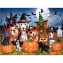 SUN35351 READY FOR HALLOWEEN, 300 22h
