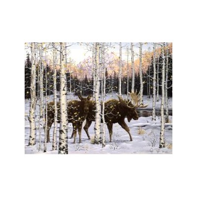 SUN36532 FOREST TWILIGHT, 500, 24