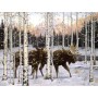 SUN36532 FOREST TWILIGHT, 500, 24