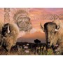 SUN40064 KEEPER OF THE PLAINS, 500, 18