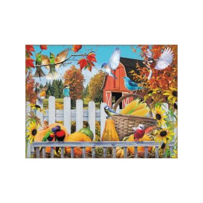 SUN42231 GATERHING FOR FALL, 300, 21