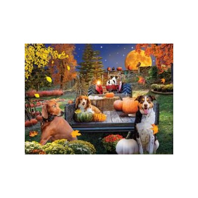 SUN42280 HARVEST HAYRIDE, 1000, 21 *