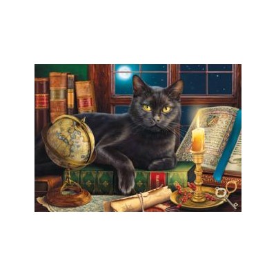 SUN42906 BLACK CAT BY CANDLELIGHT, 500+, 19