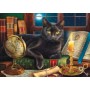 SUN42906 BLACK CAT BY CANDLELIGHT, 500+, 19