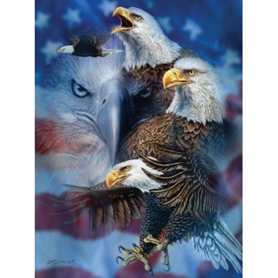 SUN46530 PATRIOTIC EAGLES, 1000, 18