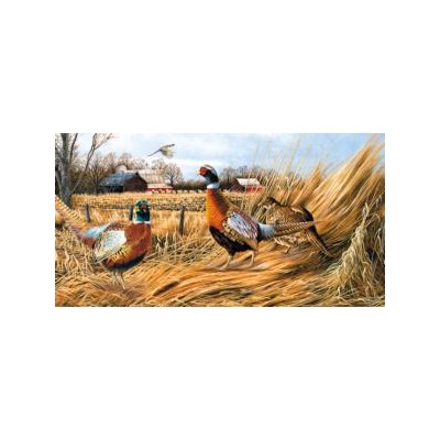 SUN49061 PHEASANT FARM, 500, 19 *