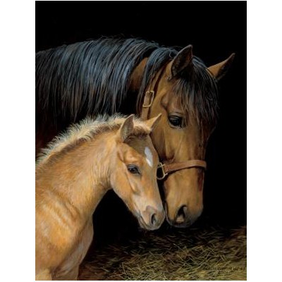 SUN51905 BONDING, 500 21