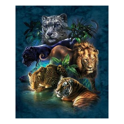 SUN52416 BIG CAT PROWESS, 1000, 14
