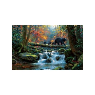 SUN53064 Precarious Crossing 1000 pieces *
