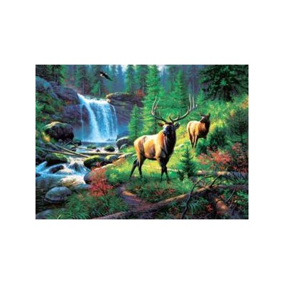 SUN53082 MOUNTAIN HARMONY, 500+