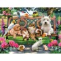 SUN54942 PETS IN THE PARK, 500, 16