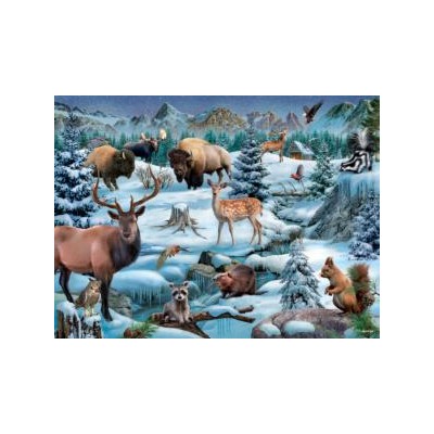SUN56123 MEADOWLAND WINTER, 1000, 20 *