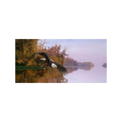 SUN56410 LAKE PATROL, 1000, 21 *