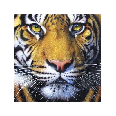 SUN58628 GOLDEN TIGER FACE, 1000 *