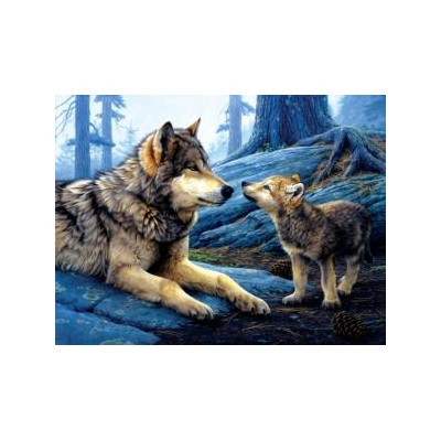 SUN60966 BROTHER WOLF, 500, 20