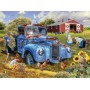 SUN61907 HAY HARVESTING, 500, 23