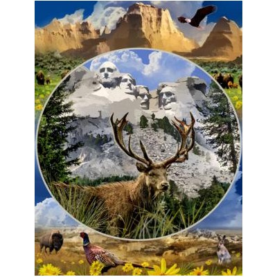 SUN62353 MOUNT RUSHMORE, 1000 22