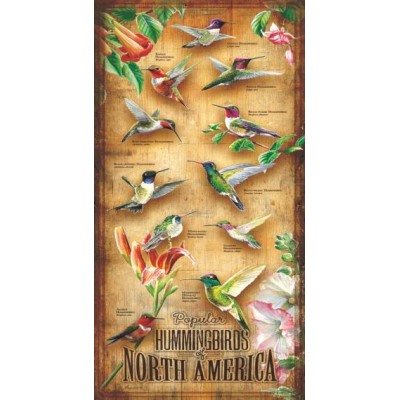 SUN66401 HUMMINGBIRDS OF NORTH AMERICA, 500, 23