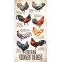SUN66409 POPULAR CHICKEN BREEDS, 500, 23