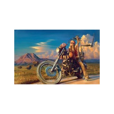 SUN67010 FREE SPIRIT, 1000, 23