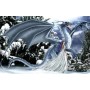 SUN67696 ICE DRAGON, 1000, 19