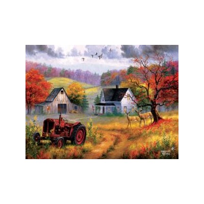 SUN69626 HEARTLAND HOME, 1000, 20