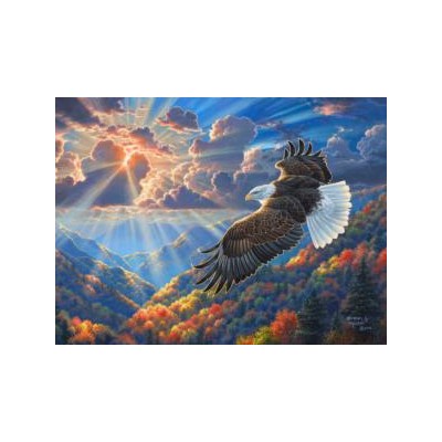 SUN69847 BEAUTIFUL FREEDOM, 1000, 24