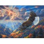 SUN69847 BEAUTIFUL FREEDOM, 1000, 24