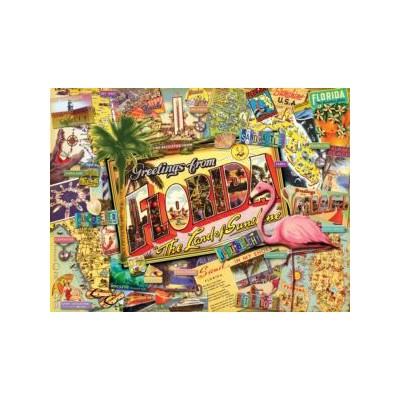 SUN70021 FLORIDA, 1000, 19