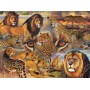 SUN70934 BIG CATS OF THE PLAINS, 500 *