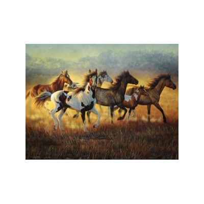 SUN70936 RUNNING WITH THE WIND, 500, 19