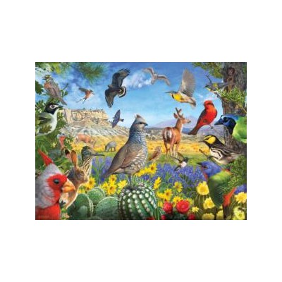 SUN70939 TEXAS BIRDS, 1000, 20