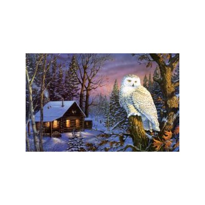 SUN71230 NIGHT WATCH, 1000, 18