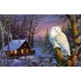 SUN71230 NIGHT WATCH, 1000, 18