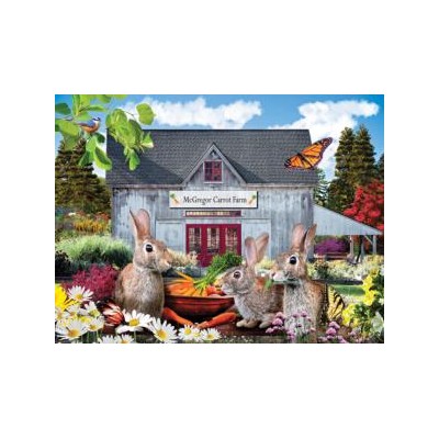 SUN72034 CARROT FARM, 500, 24