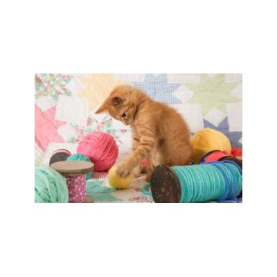 SUN72106 KITTY PLAYS BALL, 300, 24