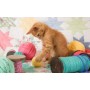 SUN72106 KITTY PLAYS BALL, 300, 24