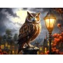 SUN77027 FALL PERCH, 1000, 24