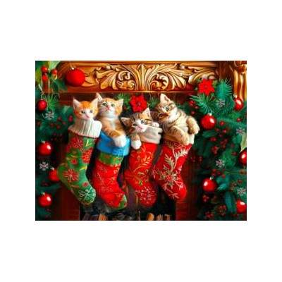 SUN77076 CHRISTMAS SURPRISE, 300, 24x