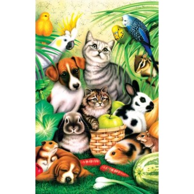 SUN81604 PET PARADE, 100, 19