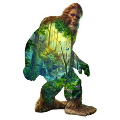 SUN95040 BIG FOOT, shape, 21