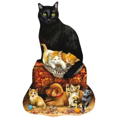 SUN95048 FAMILY OTTOMAN, shaped, 20