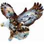 SUN95639 EAGLE EYE, shape, 12