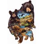 SUN95732 BEAR FAMILY ADVENTURE,shape, 13
