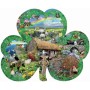 SUN95756 IRISH CHARM, shape