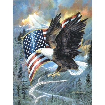 SUN59012 AMERICAN EAGLE, 500, 13